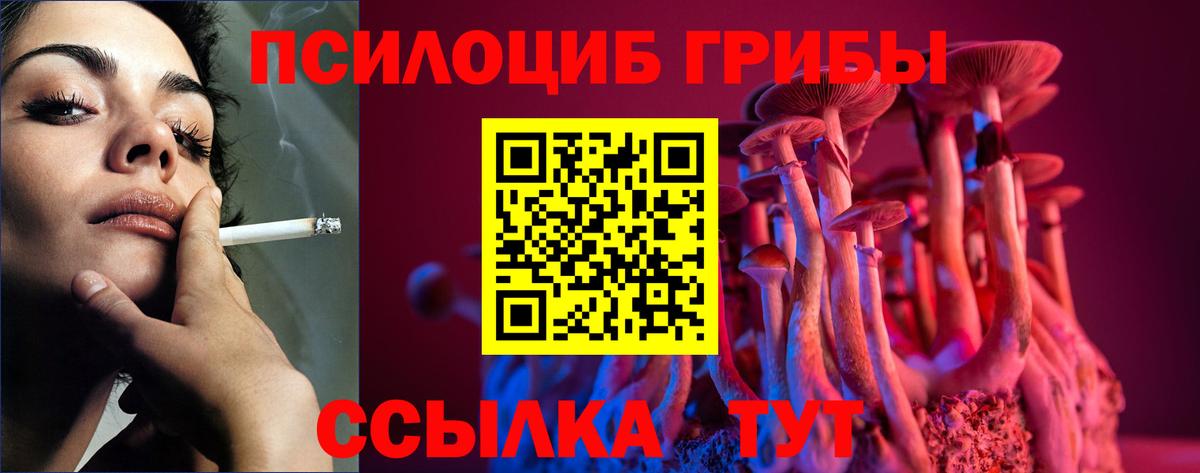 Анапа  Псилоцибиновые грибы Psilocybine cubensis  Вход с VPN 